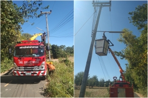 ตัดแต่งกิ่งไม้ ตัดต้นไม้ ในบริเวณพื้นที่รอบองค์การบริหารส่วนตำบลตากแดดและศูนย์อบรมเด็กก่อนเกณฑ์วัดศรีตัสสาราม