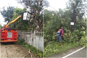 ตัดไม้ กิ่งไม้ ในบริเวณบ้านโพธิ์แสง หมู่ที่ 9