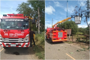 ตัดต้นไม้ กิ่งไม้ ในบริเวณบ้านตากแดด หมู่ที่ 3