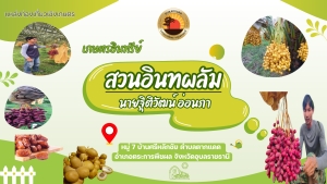 ประชาสัมพันธ์แหล่งท่องเที่ยวเชิงเกษตร (สวนนายฐิติวัฒน์  อ่อนภา)