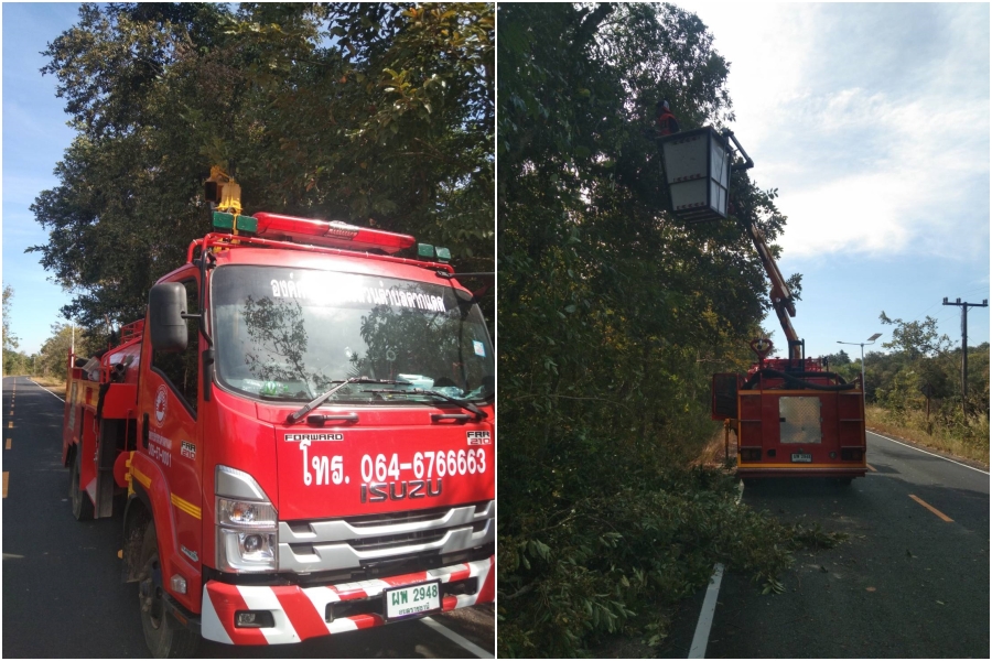 ตัดแต่งกิ่งไม้ ตัดต้นไม้ ในบริเวณบ้านตากแดด หมู่ที่ 4
