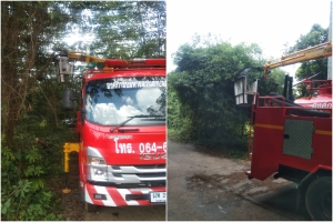 ตัดไม้ กิ่งไม้ ในบริเวณบ้านโพธิ์แสง หมู่ที่ 9