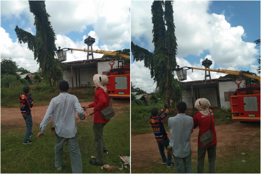 ตัดต้นไม้ กิ่งไม้ ในบริเวณโรงเรียนบ้านตากแดด หมู่ที่ 4