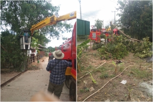 ตัดต้นไม้ กิ่งไม้ ในบริเวณ บ้านศรีตากแดด หมู่ที่ 3