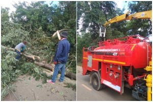 ตัดต้นไม้ กิ่งไม้ ในบริเวณ บ้านศรีหลักชัย หมู่ที่ 7