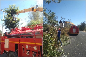 ตัดแต่งกิ่งไม้ เครือไม้ ที่เกาะตามเสาไฟ ในบริเวณถนนสายทางบ้านนาบัว หมู่ที่ 10