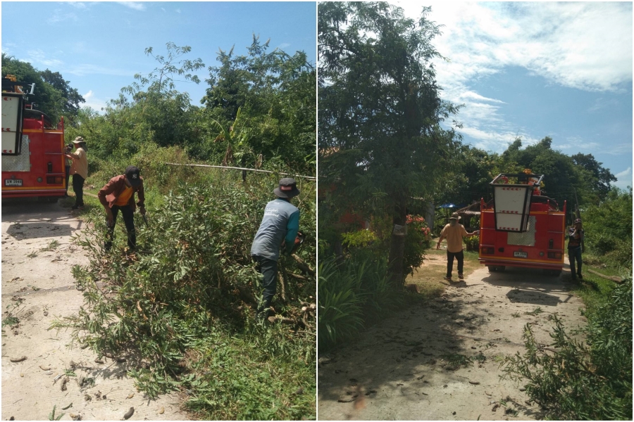 ตัดต้นไม้ กิ่งไม้ ในบริเวณบ้านตากแดด หมู่ที่ 3