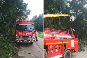 ตัดไม้ กิ่งไม้ ในบริเวณ ดอนเจ้าปู่ บ้านหนองขุ่น หมู่ที่ 1