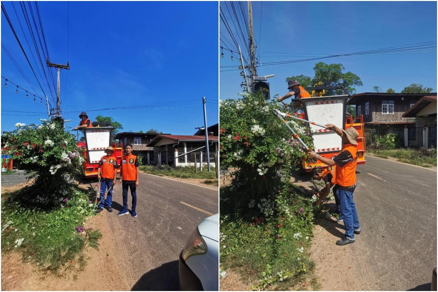 ตัดต้นไม้ กิ่งไม้ ในบริเวณบ้านตากแดด หมู่ที่ 3