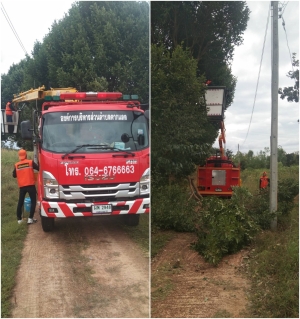 ตัดต้นไม้ กิ่งไม้ ในบริเวณบ้านศรีหลักชัย หมู่ที่ 7