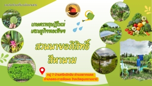 ประชาสัมพันธ์แหล่งท่องเที่ยวเชิงเกษตร (สวนนายอภิสิทธิ์  สีหานาม)