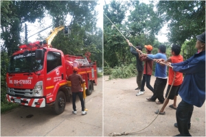 ตัดต้นไม้ กิ่งไม้ ในบริเวณ บ้านศรีหลักชัย หมู่ที่ 7