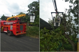 ตัดไม้ กิ่งไม้ ในบริเวณบ้านตากแดด หมู่ที่ 4
