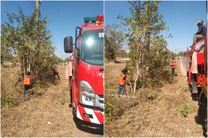 ตัดแต่งกิ่งไม้ เครือไม้ ที่เกาะตามเสาไฟ ในบริเวณถนนสายทางบ้านไผ่ล้อม หมู่ที่ 5