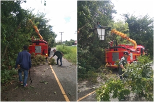ตัดต้นไม้ กิ่งไม้ ในบริเวณ บ้านหนองขุ่น หมู่ที่ 1
